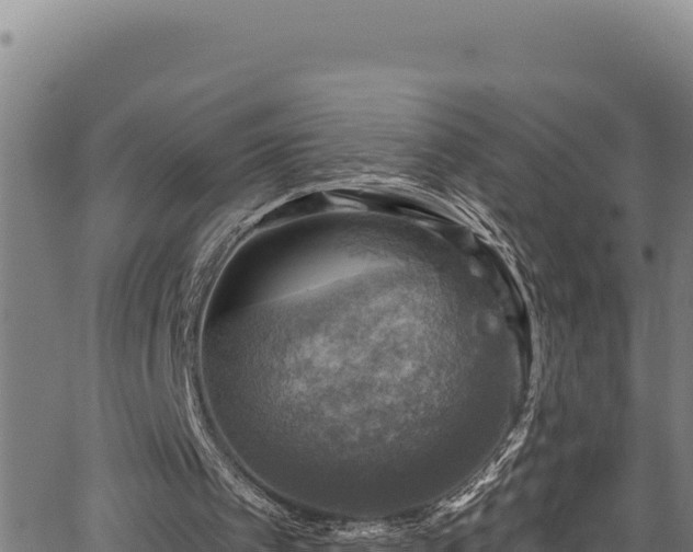 X0000066950097200603311452