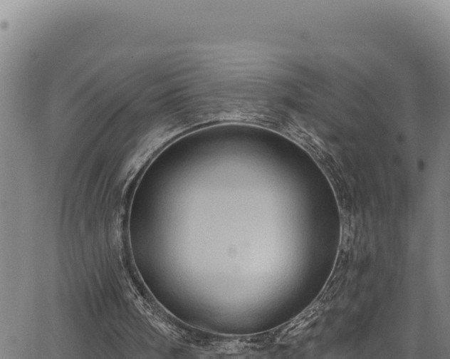 X0000066950098200603311452