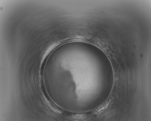 X0000066950102200603311452