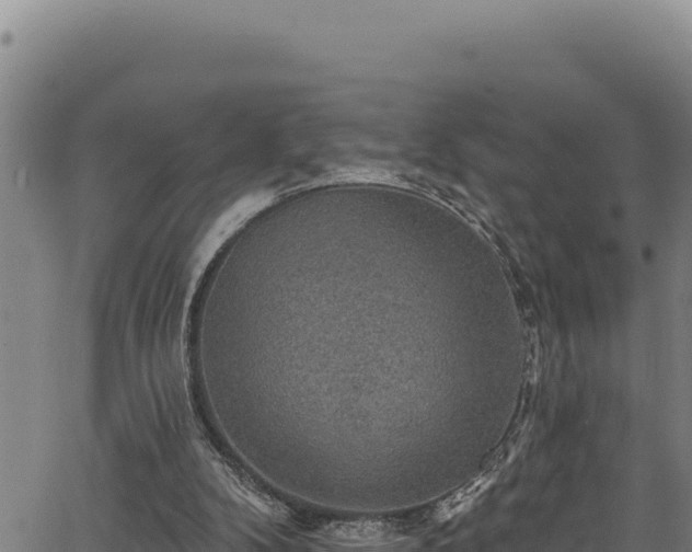 X0000066950104200603311452