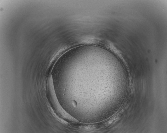 X0000066950106200603311452