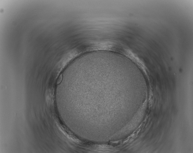 X0000066950107200603311452