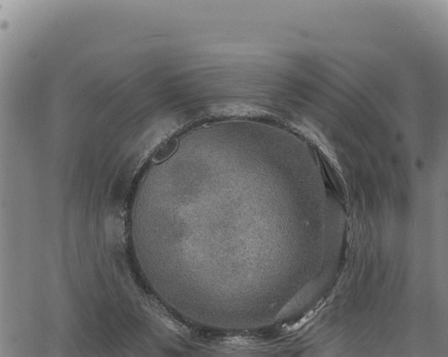 X0000066950111200603311452