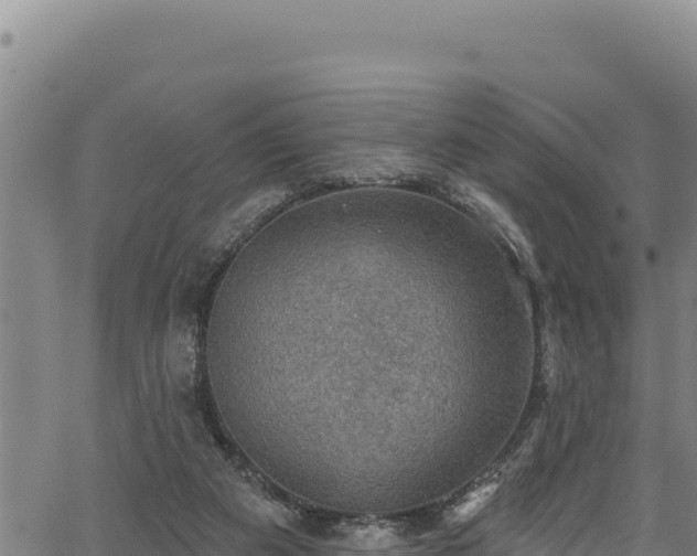 X0000066950113200603311452