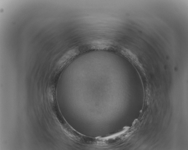 X0000066950114200603311452