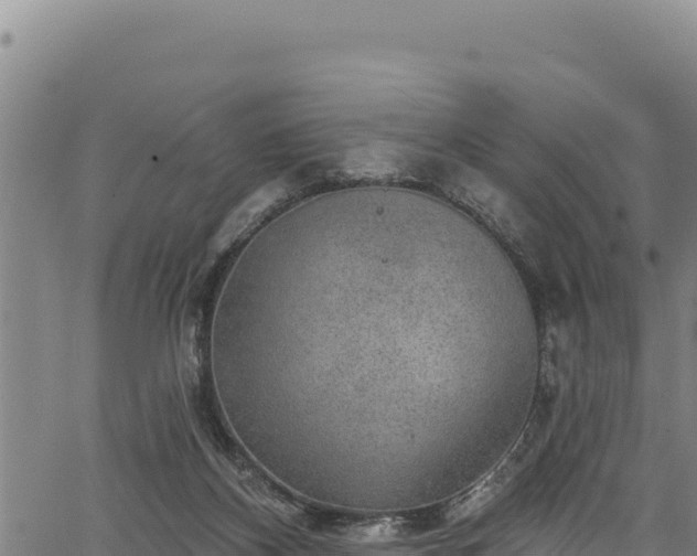 X0000066950116200603311452