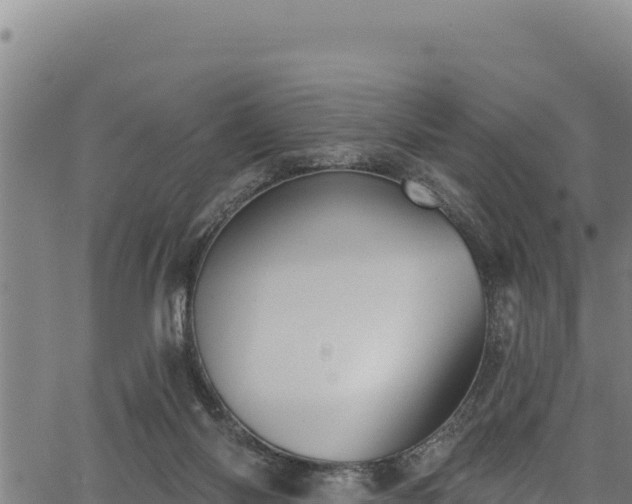 X0000066950118200603311452