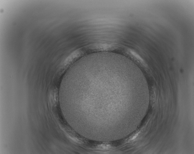 X0000066950119200603311452