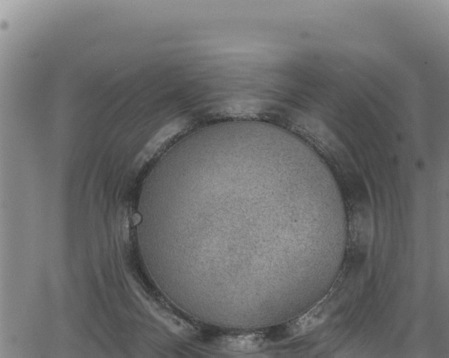 X0000066950120200603311452