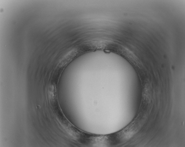 X0000066950122200603311452