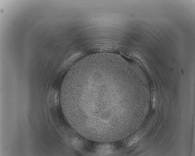 X0000066950123200603311452