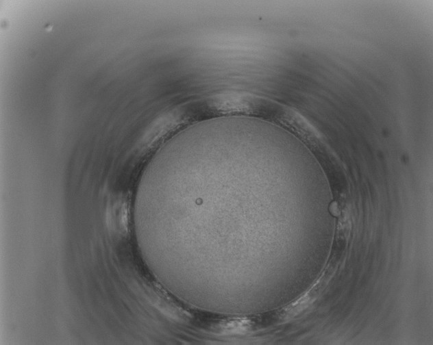 X0000066950124200603311452