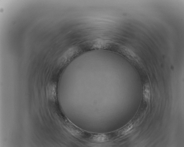 X0000066950127200603311452