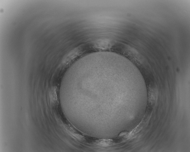 X0000066950128200603311452