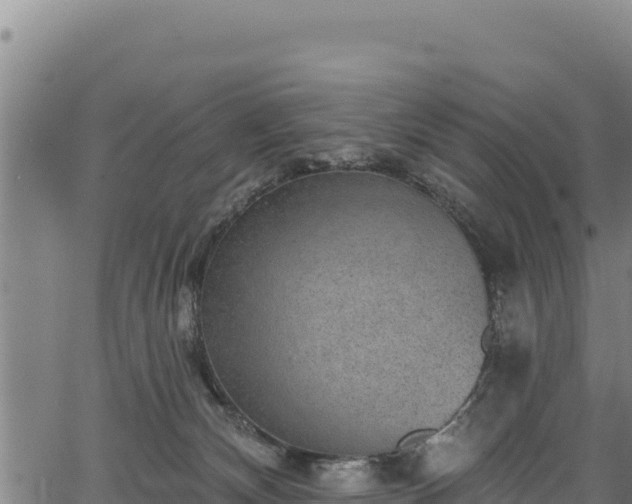 X0000066950132200603311452