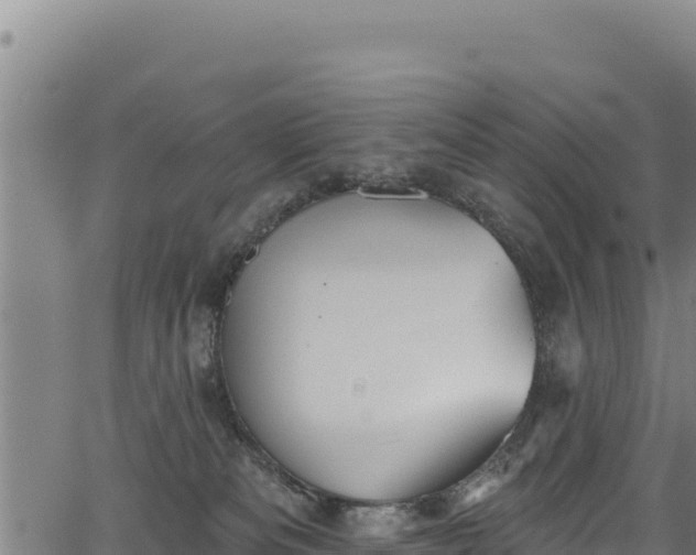 X0000066950133200603311452