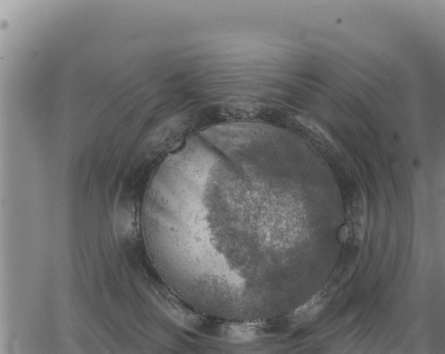 X0000066950134200603311452