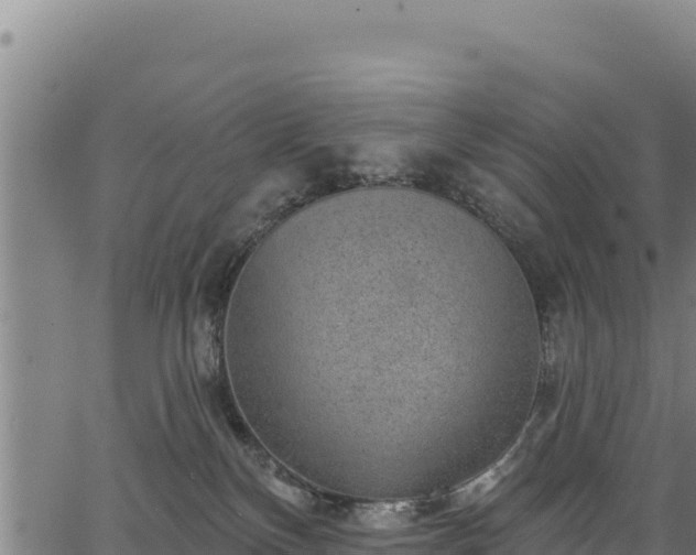 X0000066950136200603311452