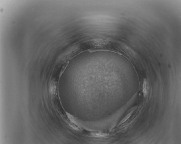 X0000066950137200603311452