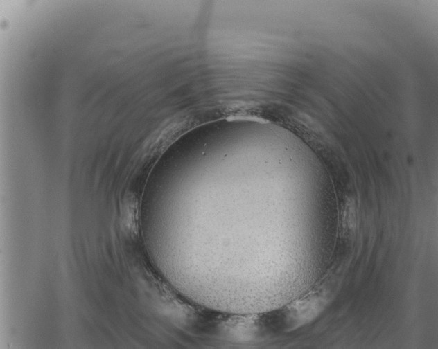 X0000066950138200603311452