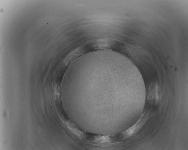 X0000066950140200603311451