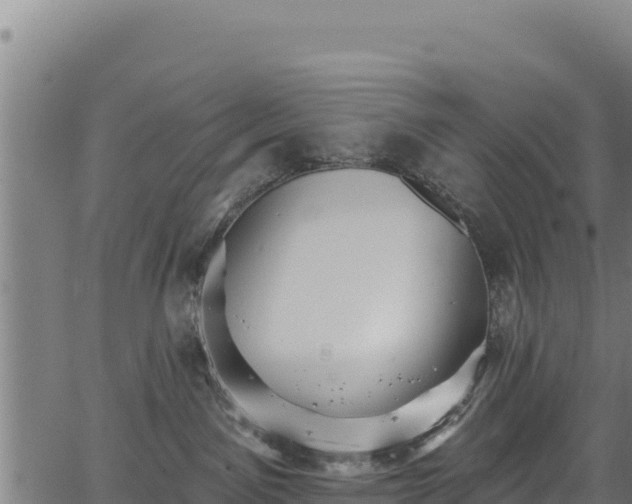 X0000066950141200603311451