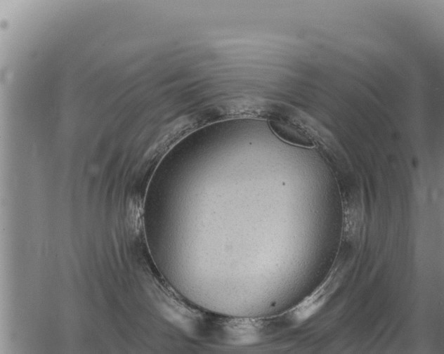 X0000066950142200603311451