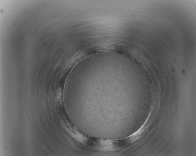 X0000066950144200603311451