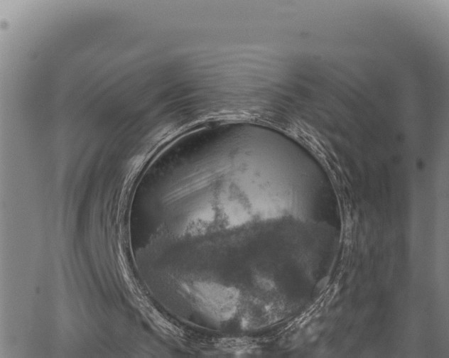 X0000066950145200603311451