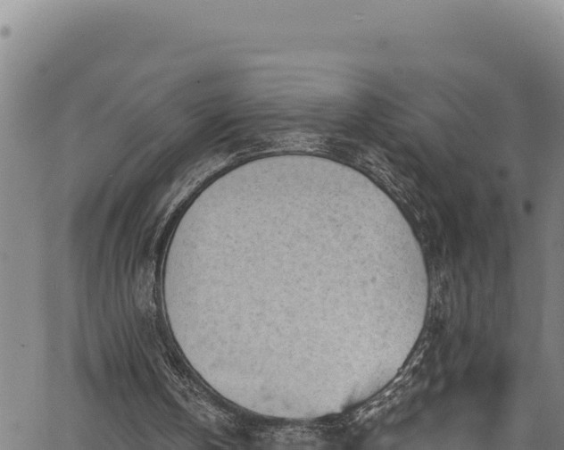 X0000066950146200603311451