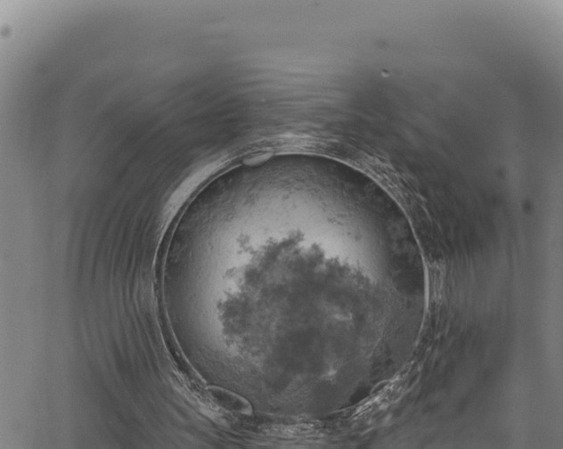 X0000066950147200603311451