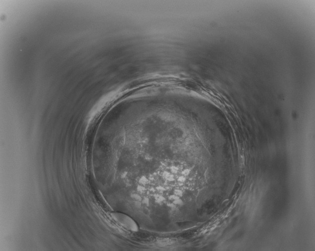 X0000066950149200603311451