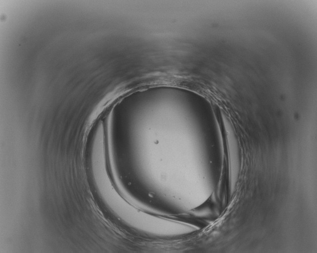 X0000066950150200603311451