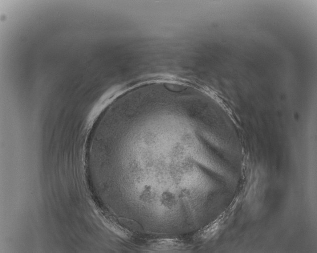 X0000066950151200603311451