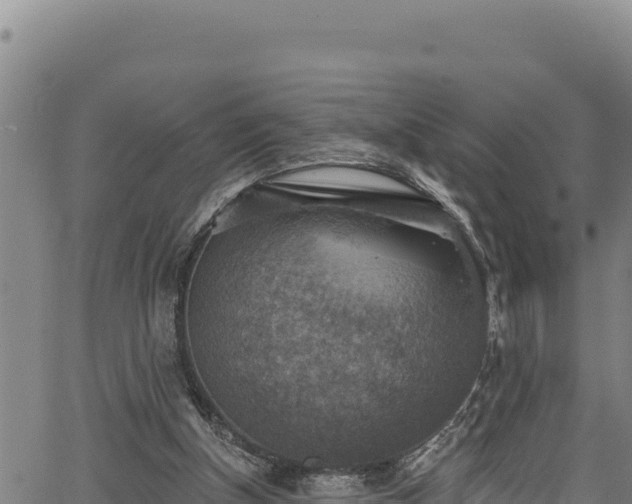 X0000066950154200603311451