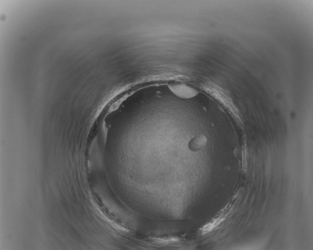 X0000066950156200603311451