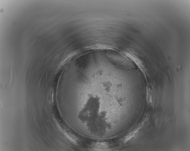 X0000066950157200603311451