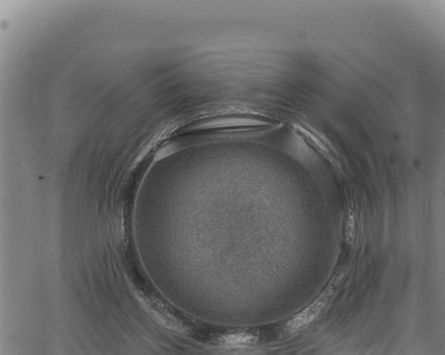 X0000066950158200603311451