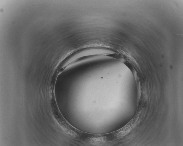 X0000066950160200603311451