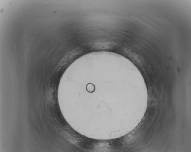 X0000066950162200603311451