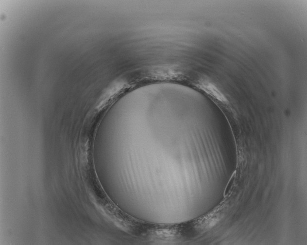 X0000066950163200603311451