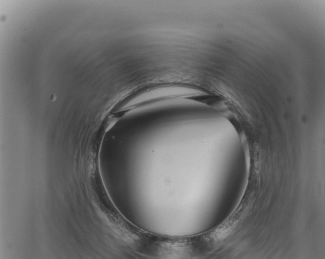 X0000066950164200603311451