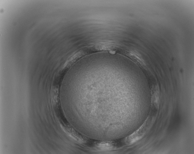 X0000066950171200603311451