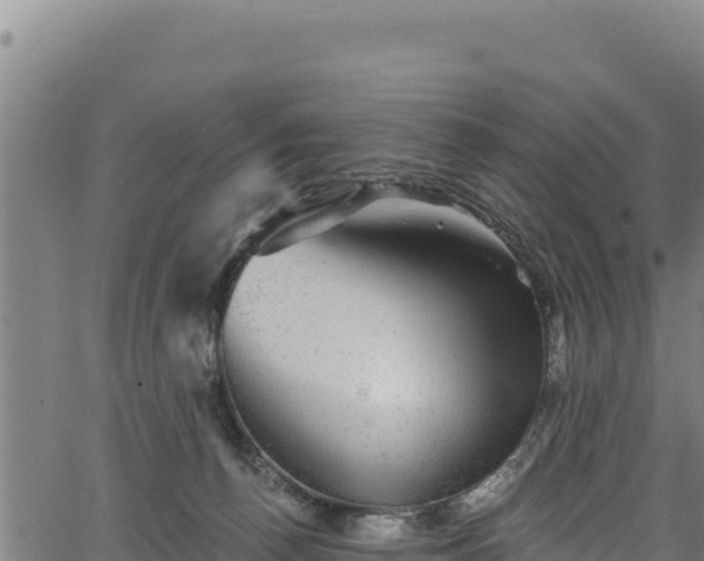 X0000066950176200603311451