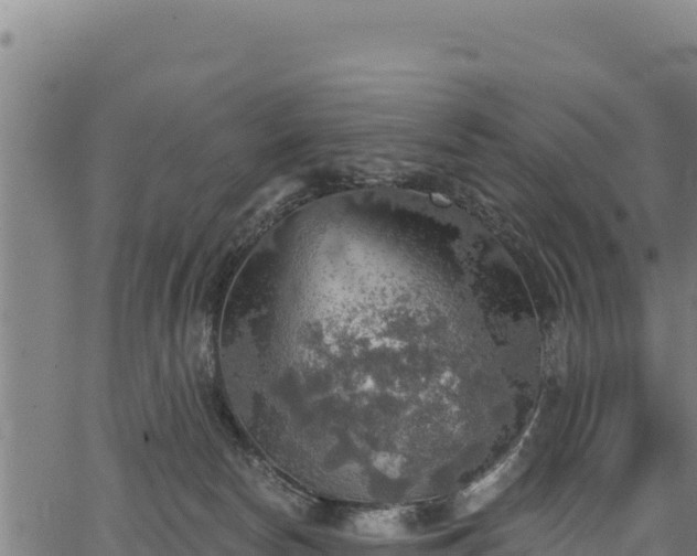 X0000066950178200603311451