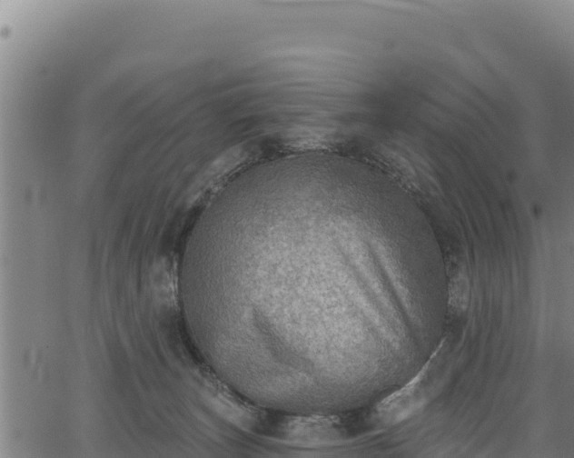 X0000066950179200603311451