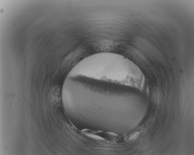 X0000066950181200603311451