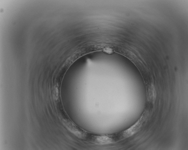 X0000066950183200603311451