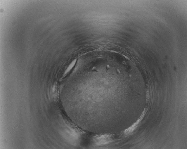 X0000066950186200603311451