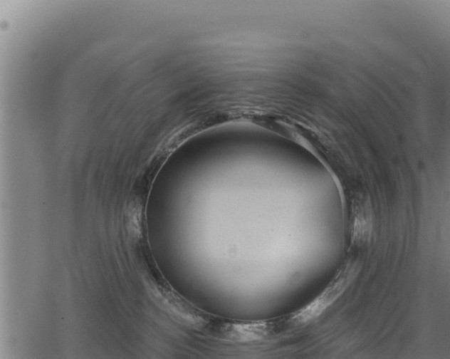 X0000066950188200603311451